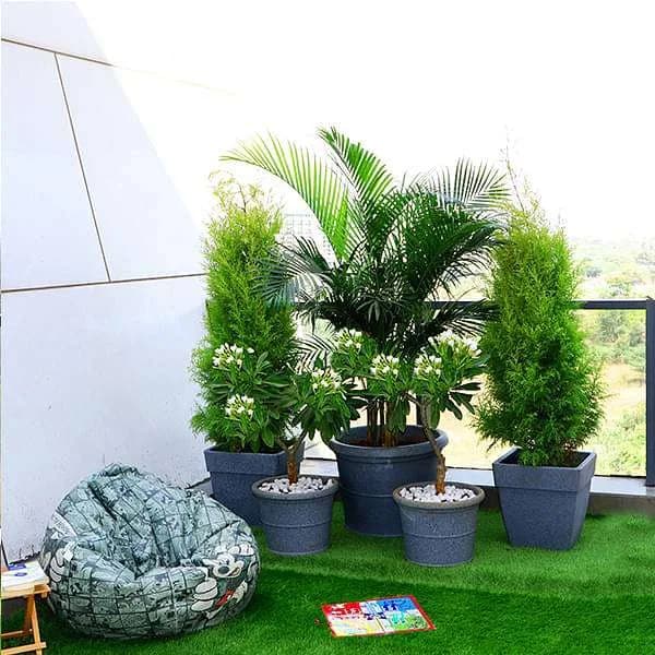 Outdoor
