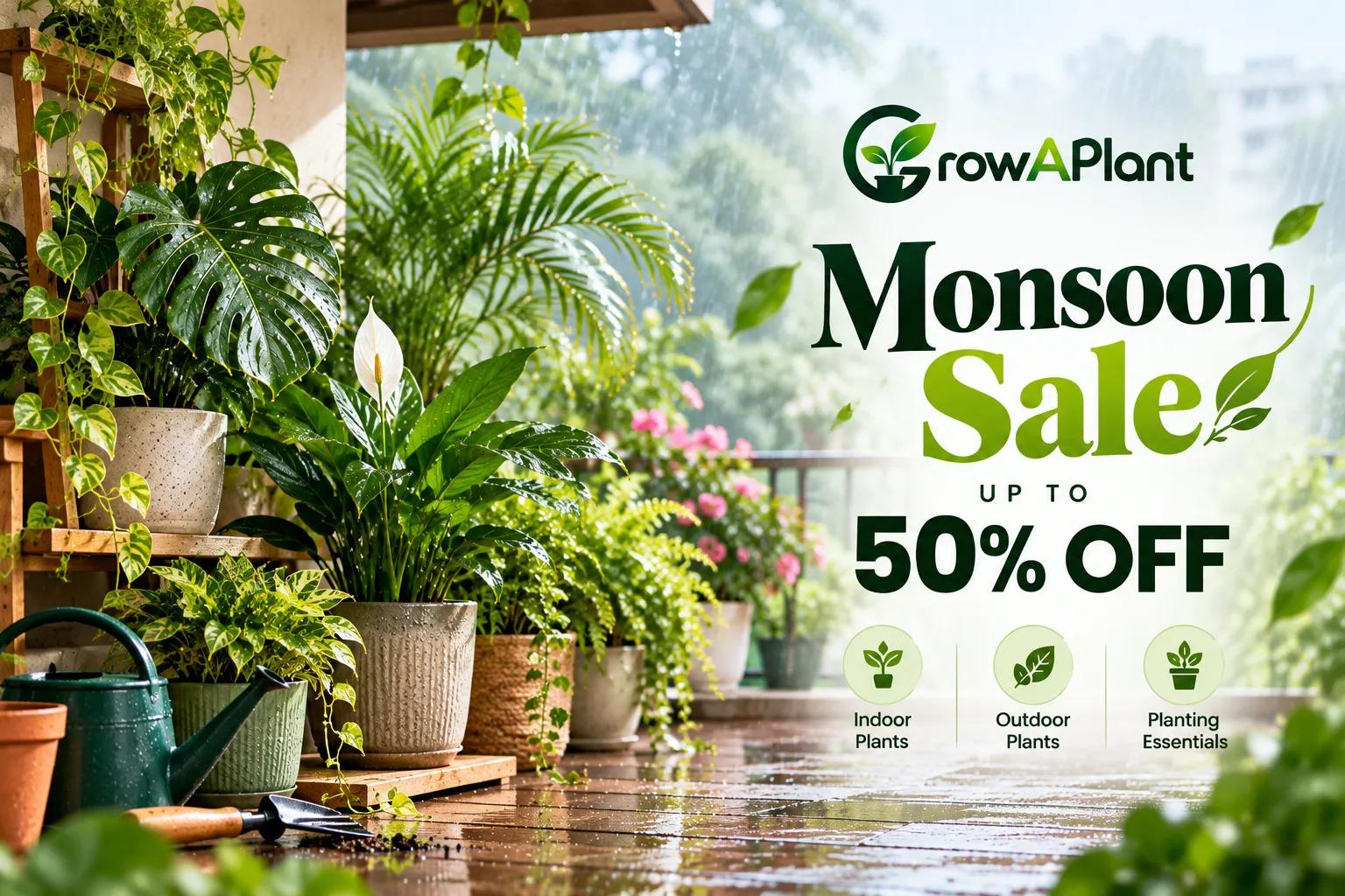 Monsoon Sale — Up to 50% Off